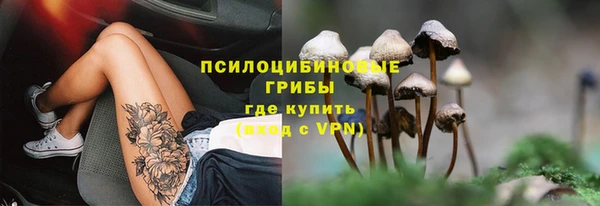 соль ск Белокуриха