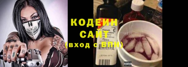 соль ск Белокуриха