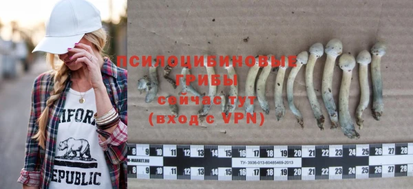 прущие крисы Белоозёрский